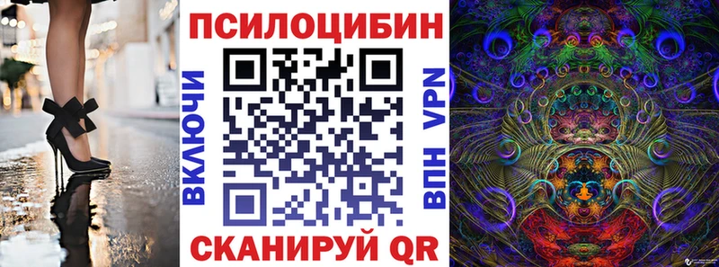 ОМГ ОМГ маркетплейс  Рославль  Псилоцибиновые грибы Psilocybe 